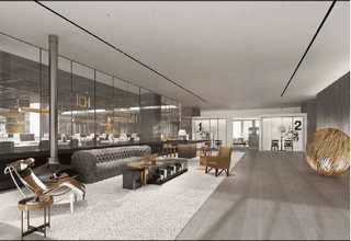 盐田区绿化绿化树工程