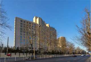 漳州土笋冻 沙虫